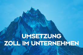 Umsetzung Zoll im Unternehmen