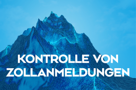 Kontrolle von Zollanmeldungen