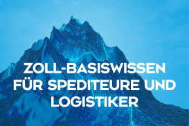 Zoll-Basiswissen für Spediteure und Logistiker