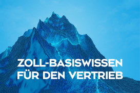 Zoll-Basiswissen für den Vertrieb