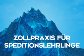 Zollpraxis für Speditionslehrlinge