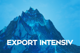 Export intensiv - ONLINE 2 Halbtage