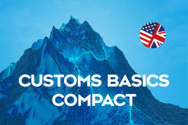 Customs Basics - Compact